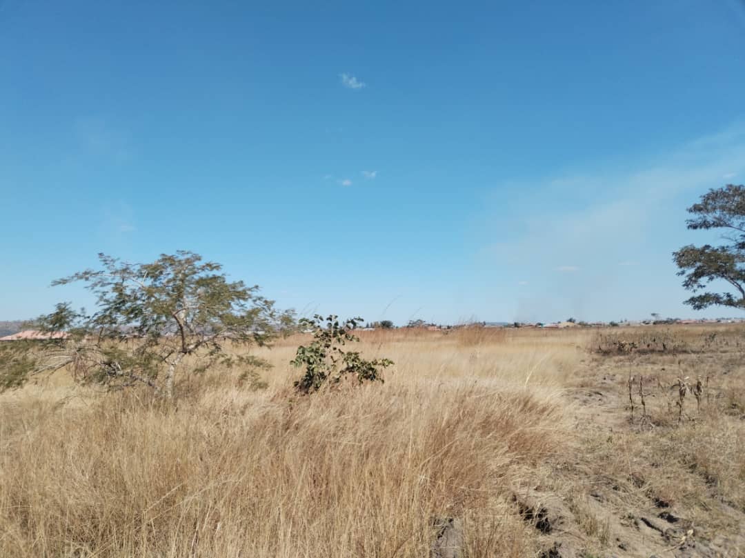 Residential Estate - 4